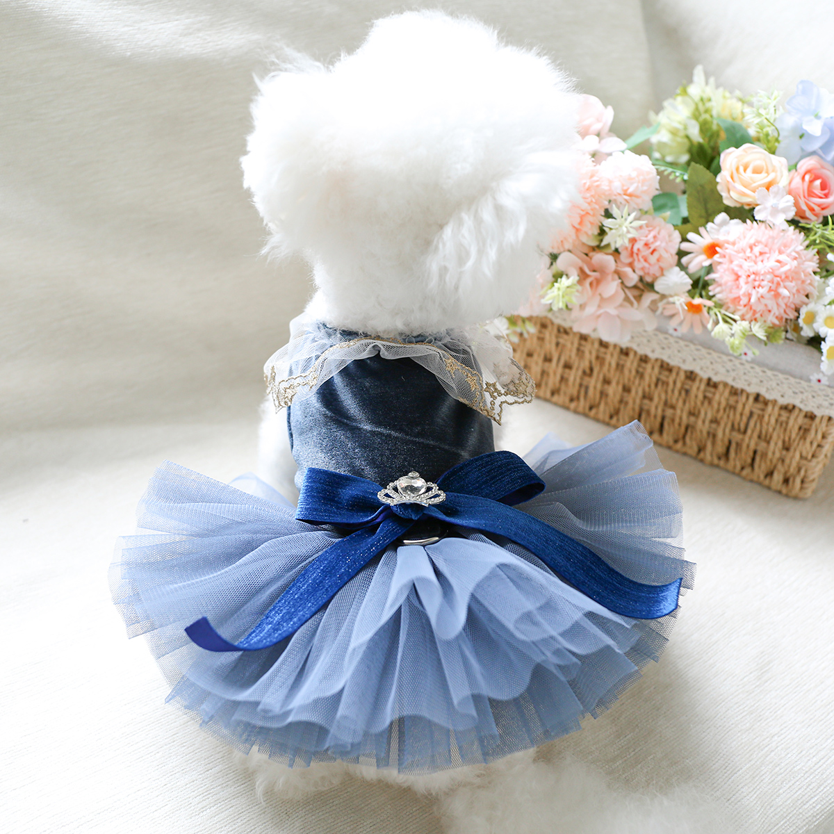 狗狗裙子公主风春秋丝绒蓬蓬裙比熊博美泰迪约克夏小狗衣服秋冬装