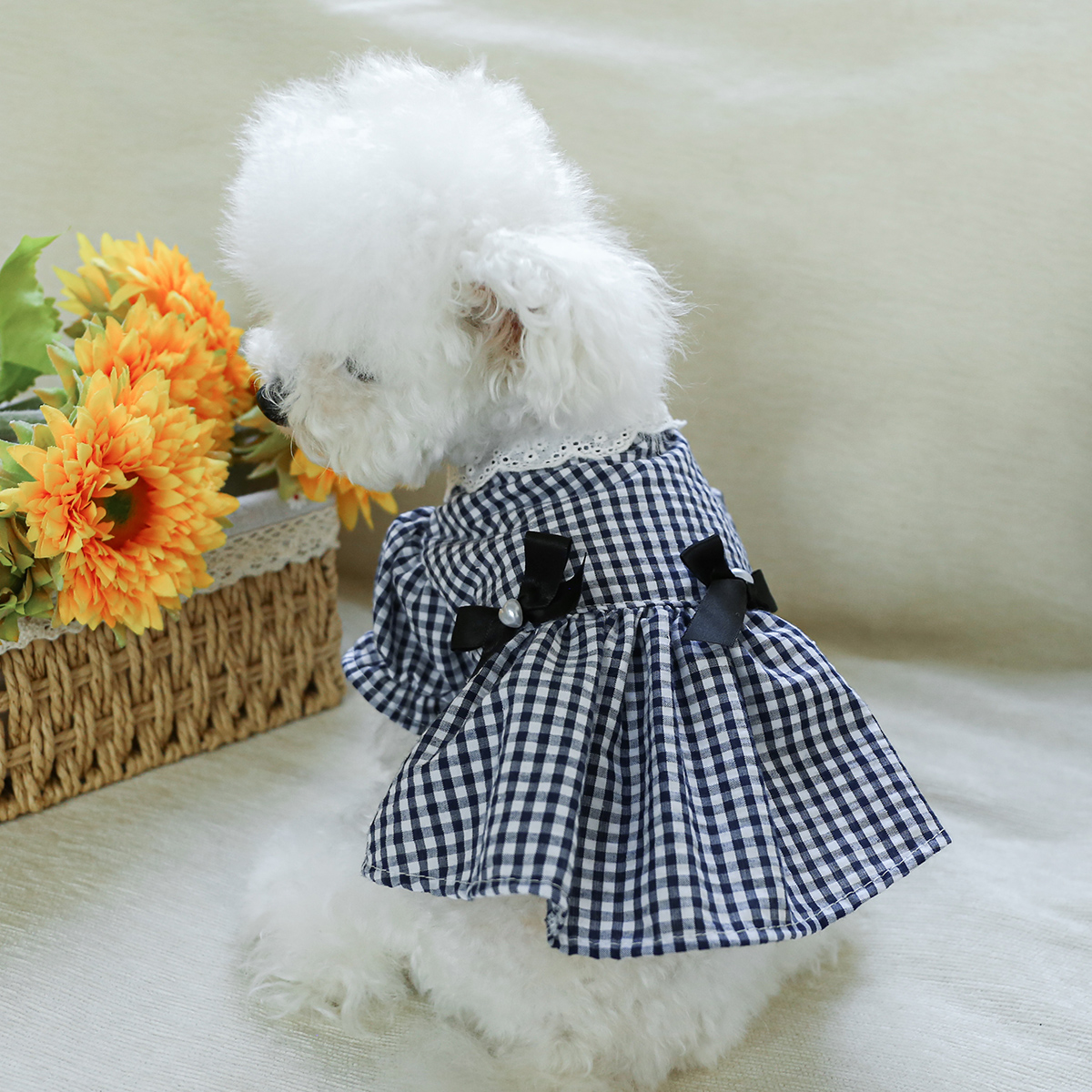 狗狗衣服春夏薄款公主风连衣裙比熊博美泰迪约克夏马尔济斯猫服饰