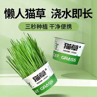 猫草种植套装装猫草种子猫零食