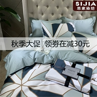 Phong cách Bắc Âu lưới lớn 60 Ai Cập bông dài chủ yếu cotton bốn mảnh bông chăn tấm trải giường mùa hè - Bộ đồ giường bốn mảnh chăn ga cưới