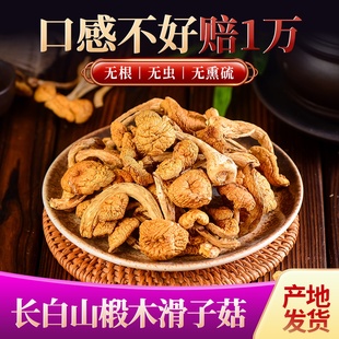 东北长白山野生滑子蘑干货小黄磨滑菇香菇小鸡炖蘑菇500克新货