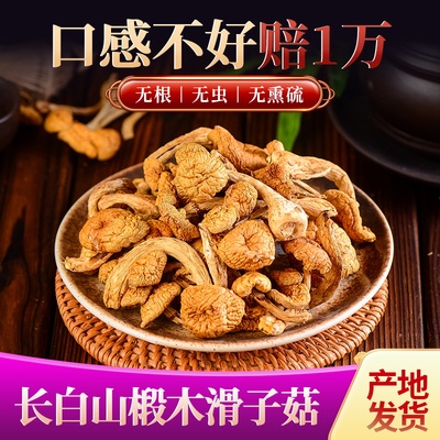 东北长白山野生滑子蘑干货小黄磨滑菇香菇小鸡炖蘑菇500克新货