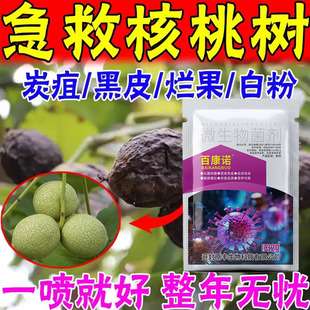 核桃病害防治杀菌日灼病微生物菌剂正品杀菌剂烂皮病干腐病枝枯病