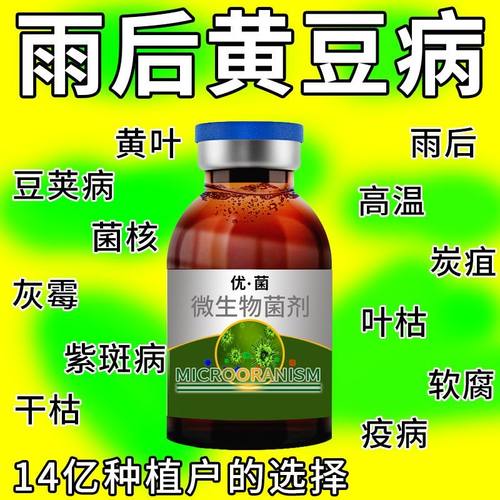 大豆专用杀菌剂大豆病全治黄叶花叶病根腐病防虫害叶斑空夹病进口