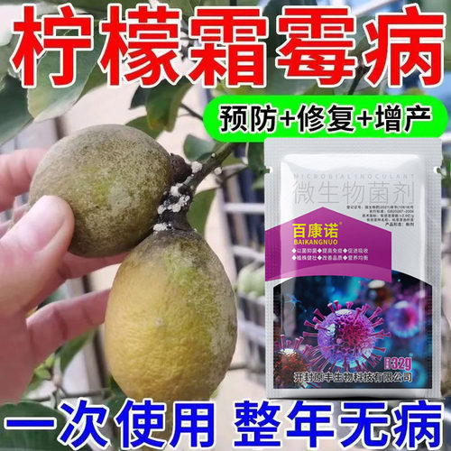 柠檬树专用疮痂病霉污病蒂腐流胶病杀菌剂柠檬病防治炭疽病溃疡病