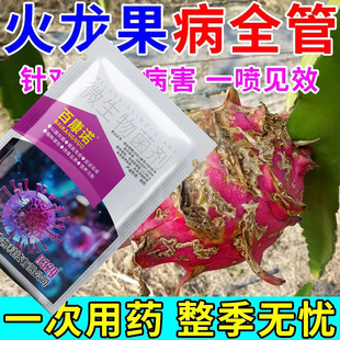 溃疡病生物菌剂火龙果烟煤病软腐病火龙果病专用杀菌剂炭疽病通用