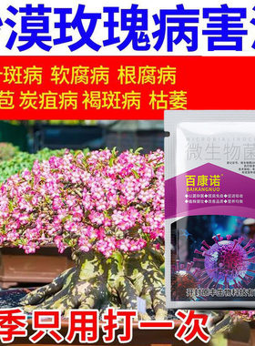 沙漠玫瑰壮苗沙漠玫瑰病害通用专用药黄叶掉叶枯枝不开花专用绿叶
