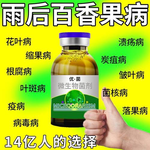 百香果病毒病专用杀菌剂卷叶疮痂病茎基腐花叶病毒溃疡灰霉病全治