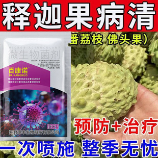释迦果真菌细菌病害防治释迦果病害霜霉病果腐病通用微生物杀菌剂