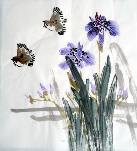 三尺国画兰花素材模板 三尺国画兰花图片下载 小麦优选