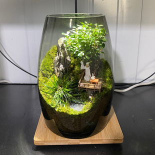云海间苔藓微景观摆件办公室桌面生态瓶鲜活绿植盆景生态缸盆栽