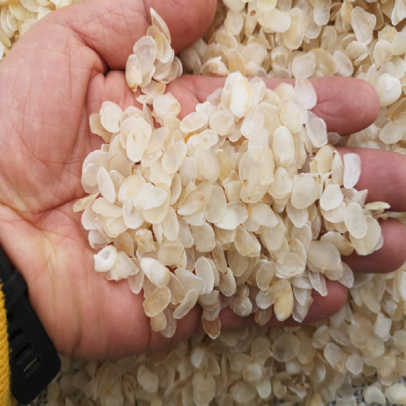 厚片皂角米糯雪莲子500g云南可搭配桃胶雪燕银耳