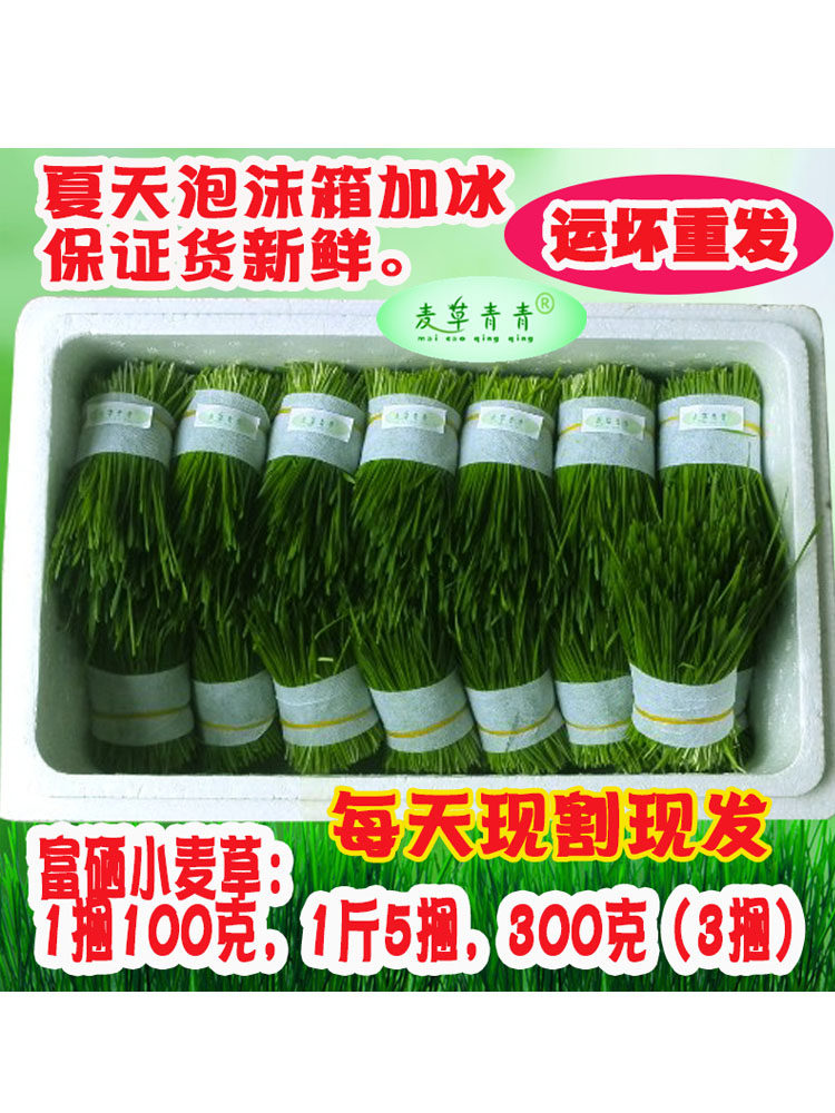 新鲜小麦草麦苗榨汁喝全天然高碱性麦绿素做青团青汁家用营养食品