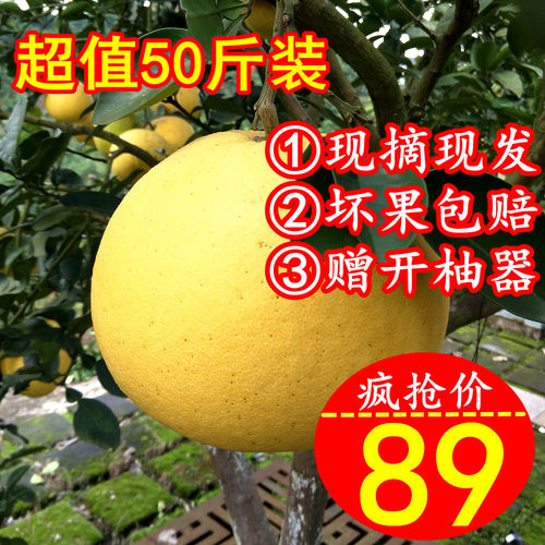 梁平柚子新鲜水果现摘现发产地