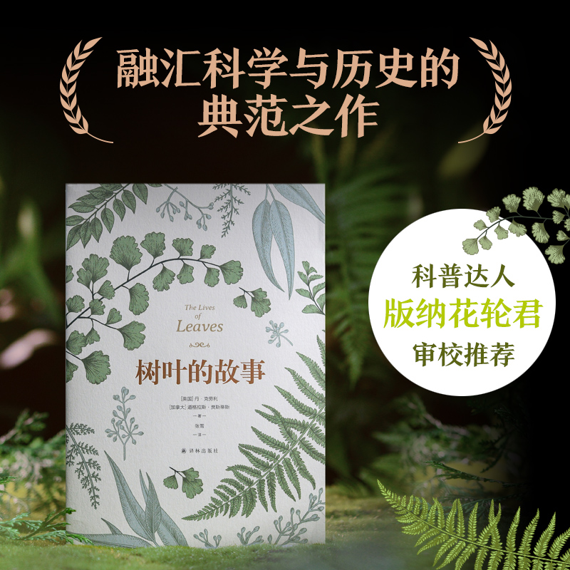 树叶的故事含10幅精美全彩插图