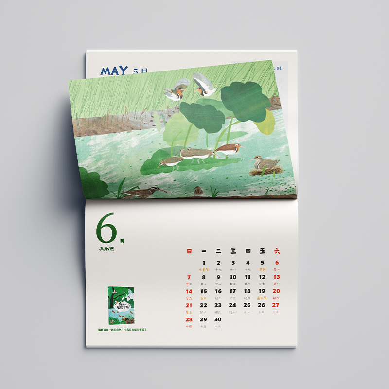 小译林2026年新年月历