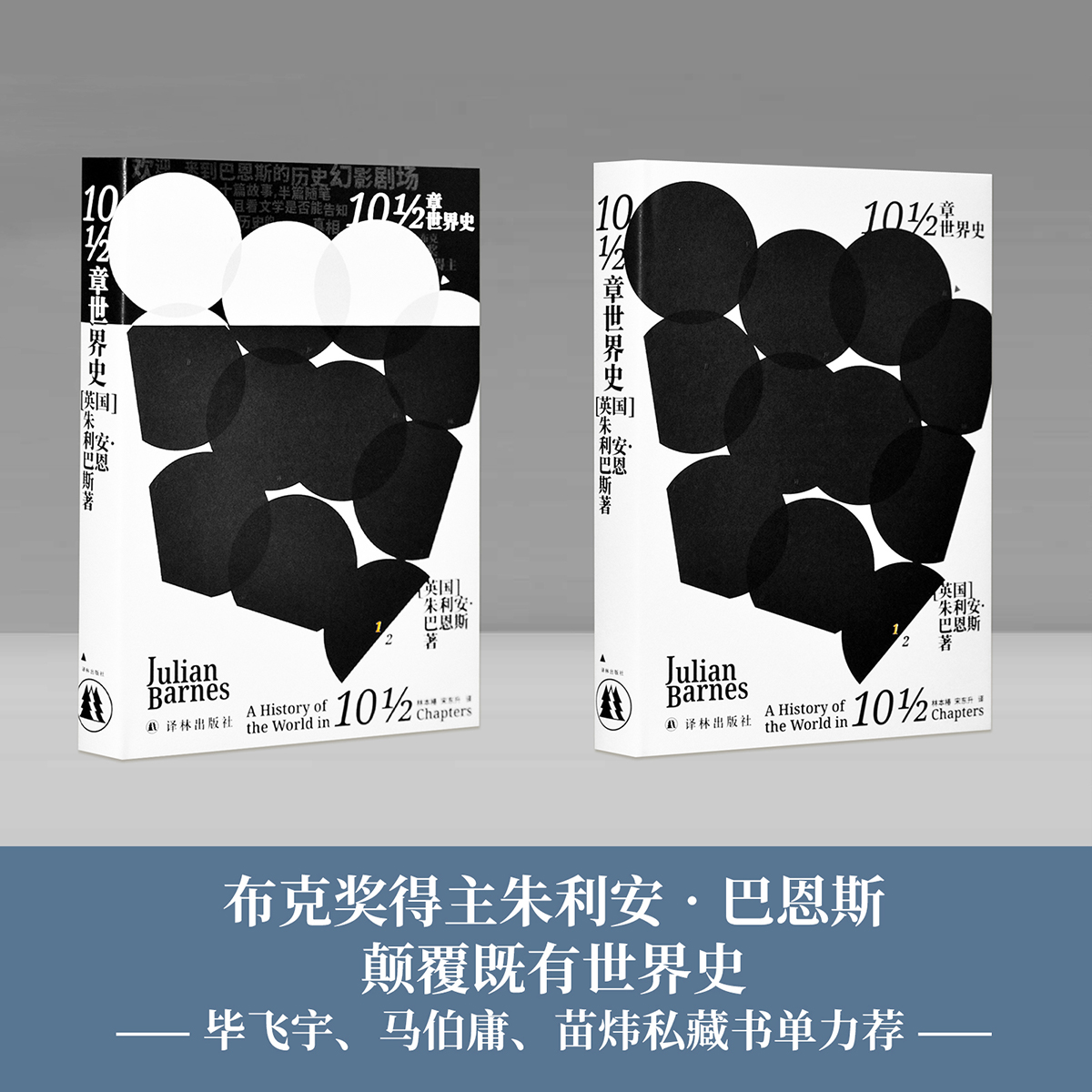 10½章世界史（布克奖得主朱利安·巴恩斯玩味历史之作！用10½章写成一部世界史，只有小说家可以做到！）