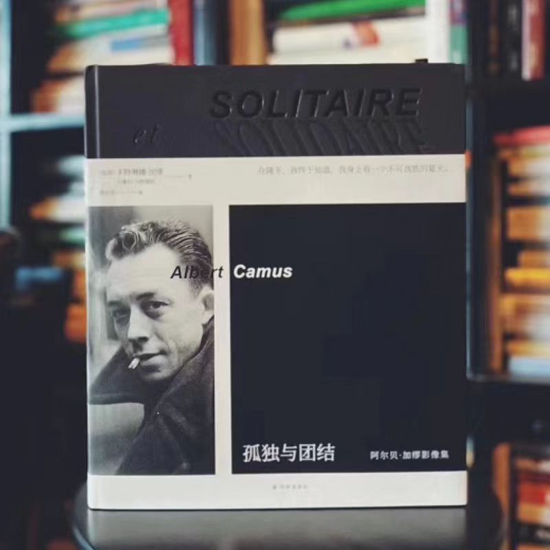 孤独与团结豆瓣高评分人物传记