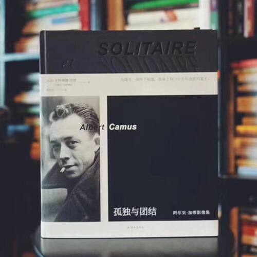 孤独与团结豆瓣高评分人物传记