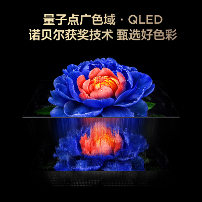 TCL 55V8L Pro 55英寸 144Hz QLED量子点电视