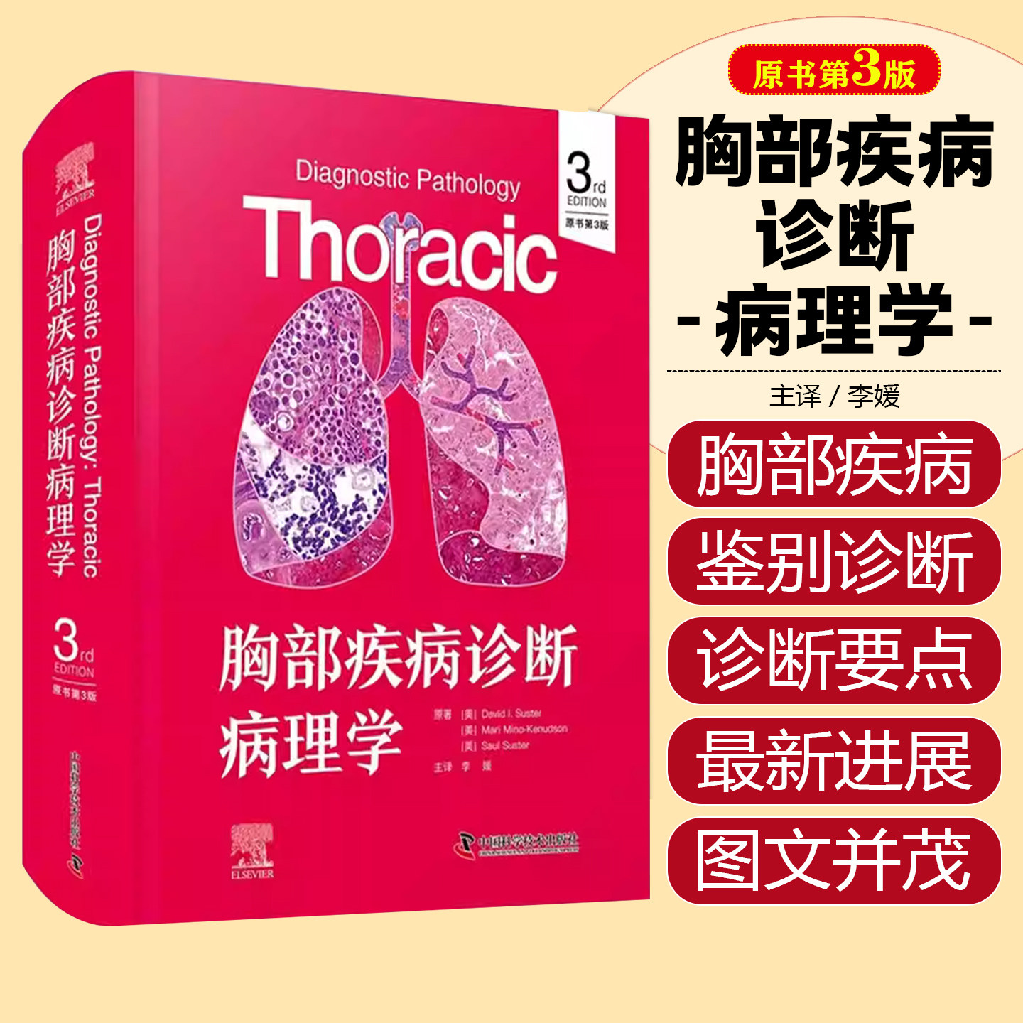 胸部疾病诊断病理学原书第3版专注于胸部疾病病理诊断的实用著作适合各级病理科医生在日常诊断工作中查阅参考中国科学技术出版社