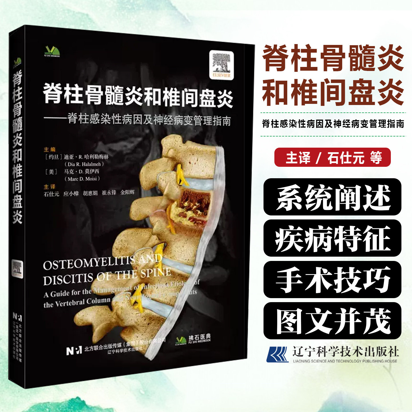 脊柱骨髓炎与椎间盘炎 脊柱感染性病因及神经病变管理指南 石仕元 主译 辽宁科学技术出版社9787559145666
