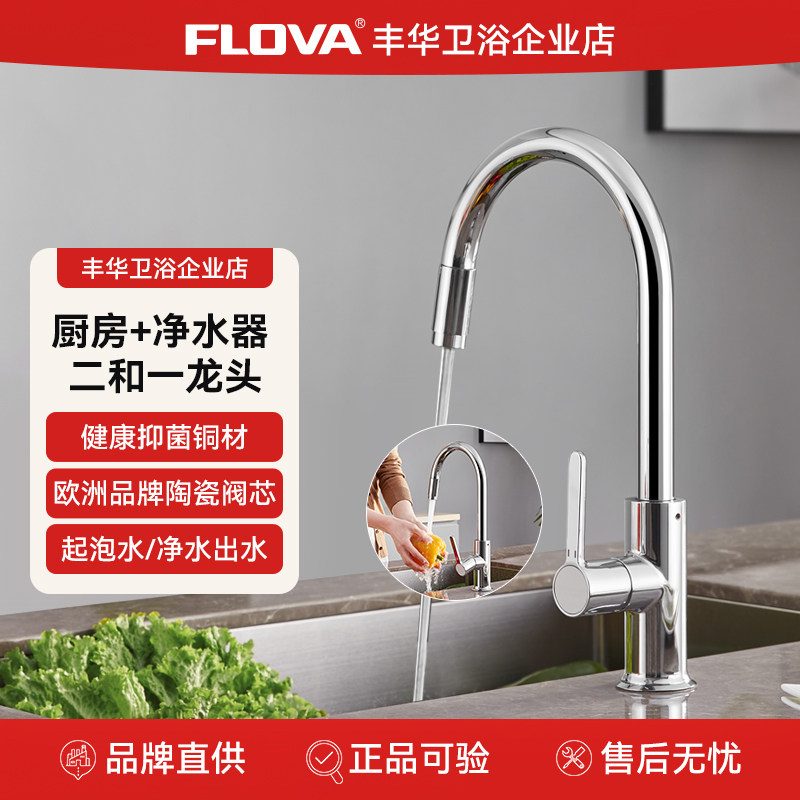 丰华净水器冷热一体厨房水龙头二合一净水龙头双出水直饮水龙头