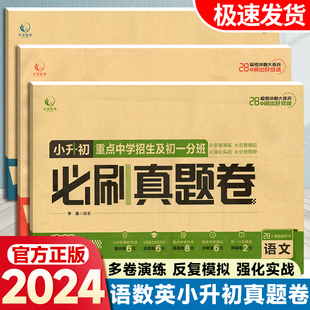 2024小升初真题卷语文数学英语重点中学招生及初一分班冲刺押题集训卷考前一搏28天冲刺练习备考复习资料新初中生新初一乐学教辅