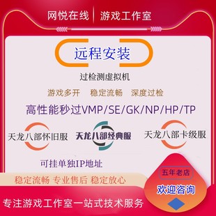 新天龙八部怀旧服卡级wegame多开器防检测去虚拟化可挂单独IP特惠
