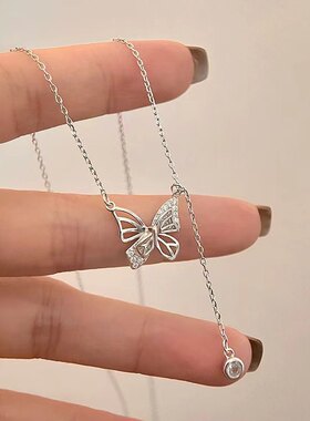 蝴蝶流苏锆石吊坠锁骨链女2024年新款简约感配饰轻奢小众设计项链
