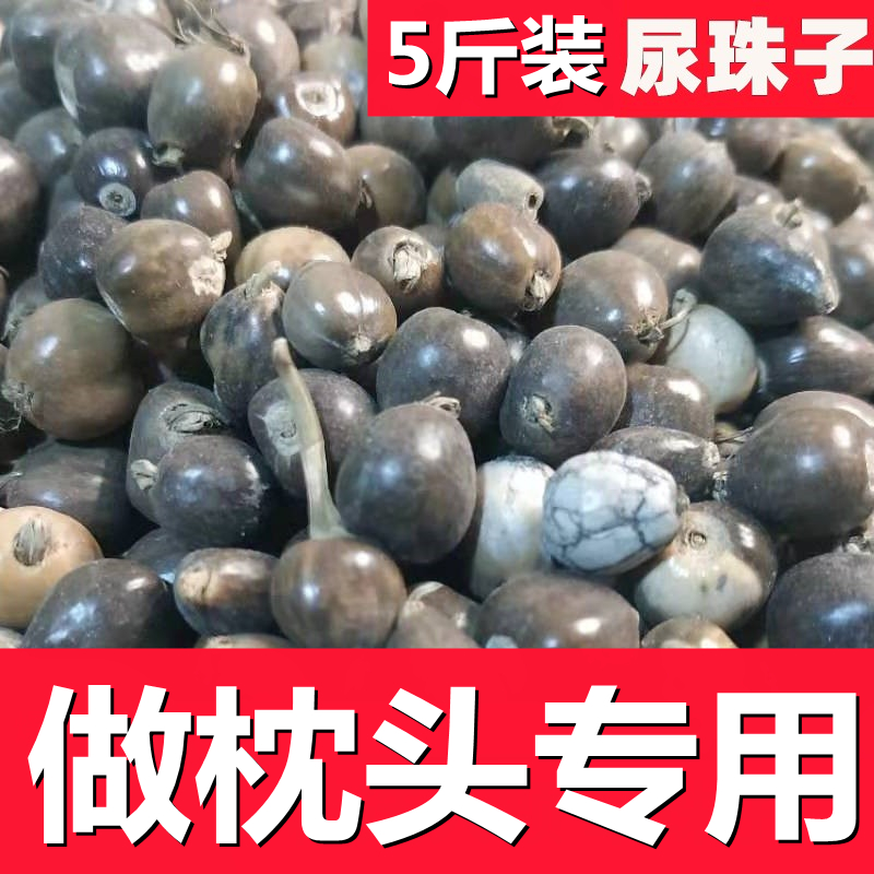 5斤装尿珠子菩提子草珠子文玩草菩提中药材散珠种子天然必提珠大