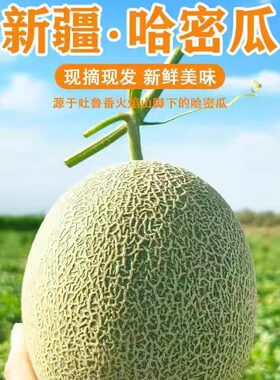 顺丰包邮新疆哈密瓜新鲜水果吐鲁番西周蜜瓜网纹蜜瓜
