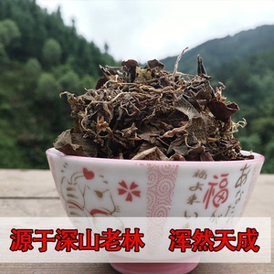 广西福建金线莲野生草药金线莲原生态正品深山原生金线莲50克