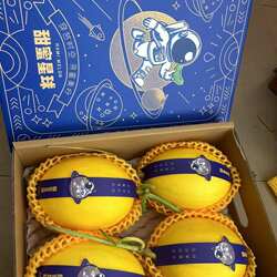 海南三亚精品金妃蜜瓜普通装哈密瓜新鲜水果甜瓜应季