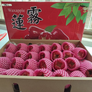 海南三亚莲雾新鲜顺丰包邮