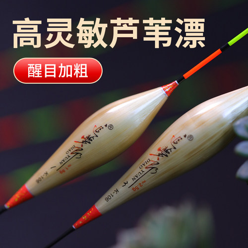 追梦郎带壳芦苇浮漂高灵敏度