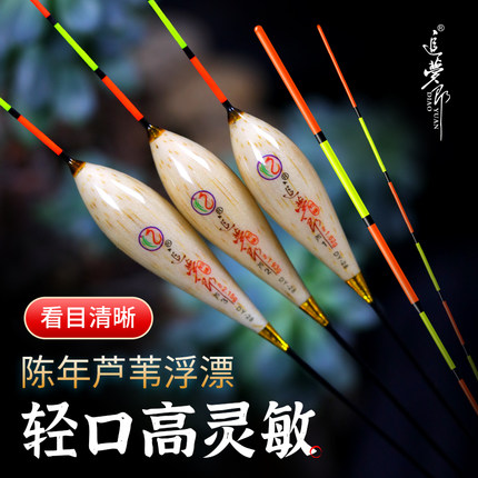 去壳芦苇漂全水域鲫鱼鲤鱼漂浅水加粗细尾醒目高灵敏浮漂行程底钓