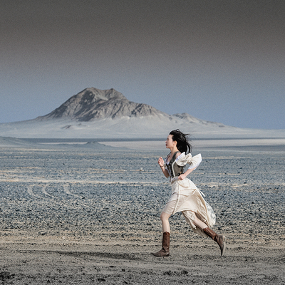 理想复旬巴伐利亚宫廷风假两件