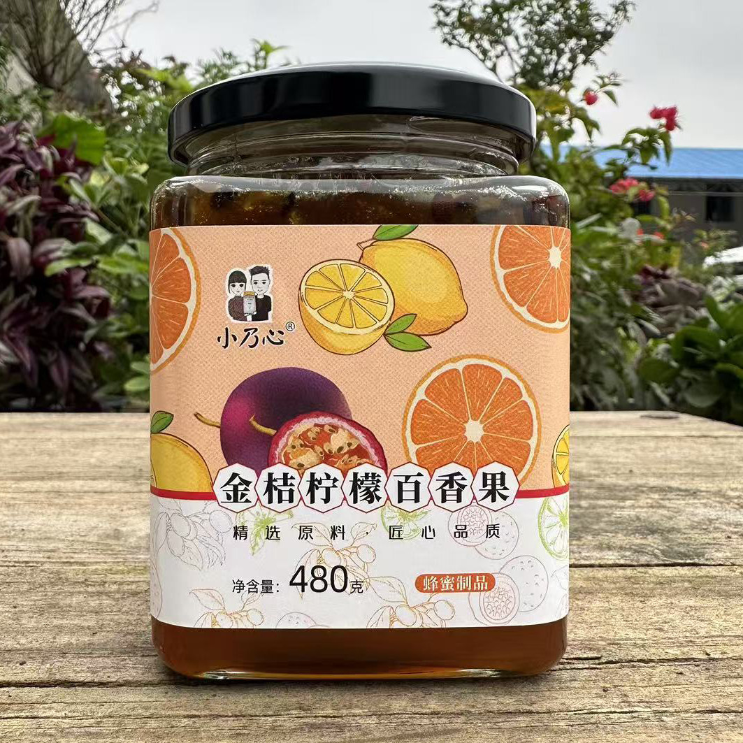 小乃心正品480g*2瓶 金桔柠檬百香果 蓝莓蜜酿纯正天然蜂蜜