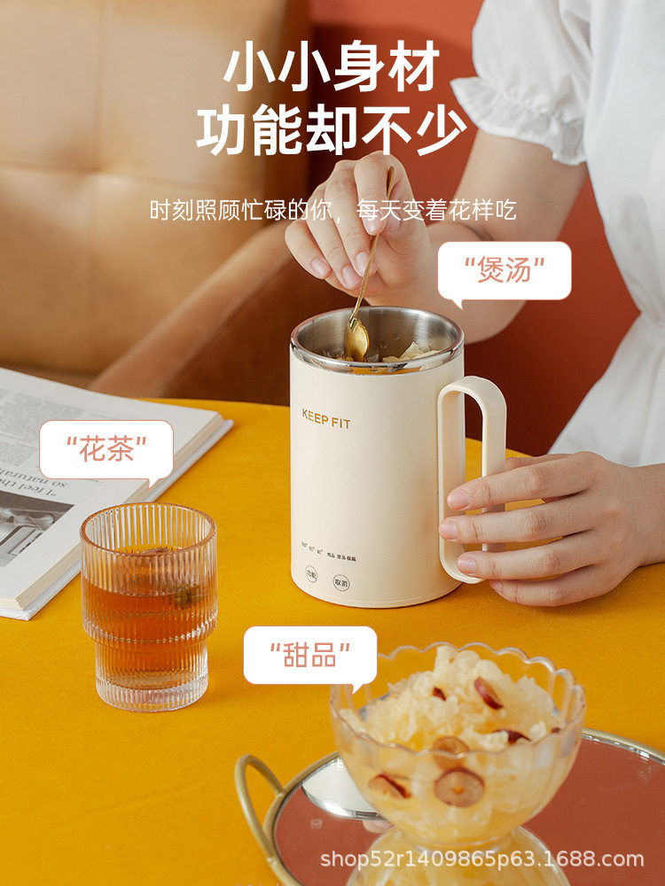 德国迷你电炖杯电热水杯养生杯小型单人烧水杯热牛奶加热水杯