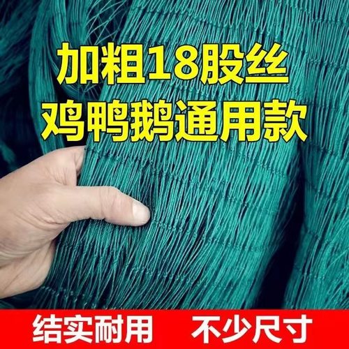 围网养殖网拦鸡网塑料网户外拦网