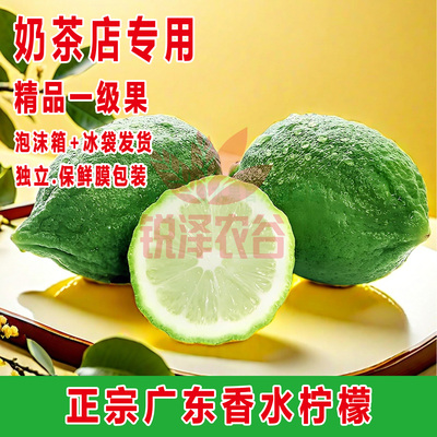 广东香水柠檬青柠檬新鲜应季无籽奶茶店专用水果