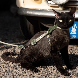 猫咪牵引绳可调节工字形胸背防挣脱不闷热德文缅因外出专用遛猫绳