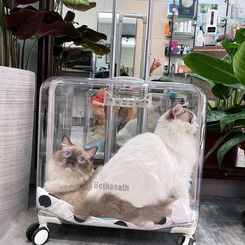 宠物透明拉杆箱狗狗外出旅行箱猫咪便携太空舱推车大容量手提猫包