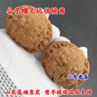 盘山公子帽文玩核桃树苗盆栽地栽把玩麻核桃苗南北方种植当年结果