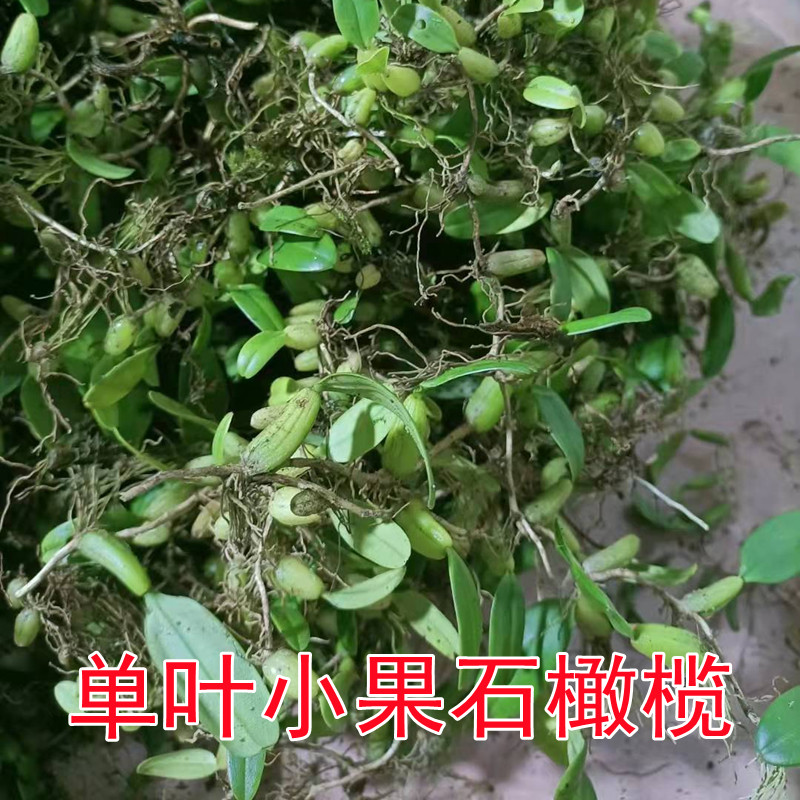 广东食用农产品新鲜煲汤炖汤