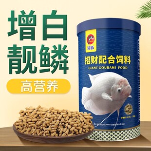 海豚招财鱼饲料抗病防烂身地图鱼战船鱼热带观赏鱼发财鱼鱼粮鱼食