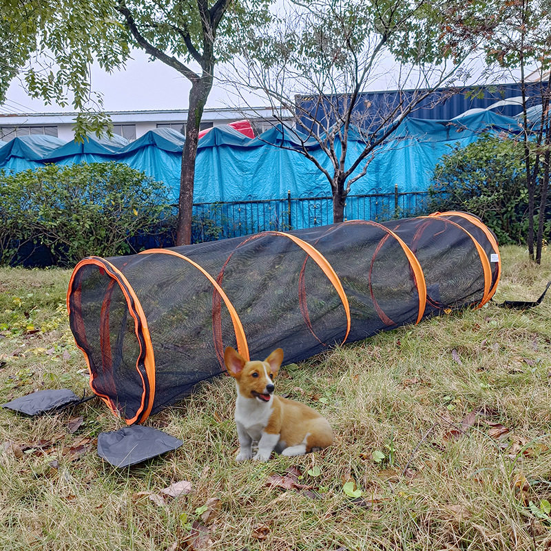 猫隧道可折叠网纱爬行猫通道四季通用户外猫玩具滚地龙猫帐篷猫窝,宠物/宠物食品及用品,猫窝/屋/帐篷/沙发,淘宝优惠券,粉丝福利购,淘宝优惠卷