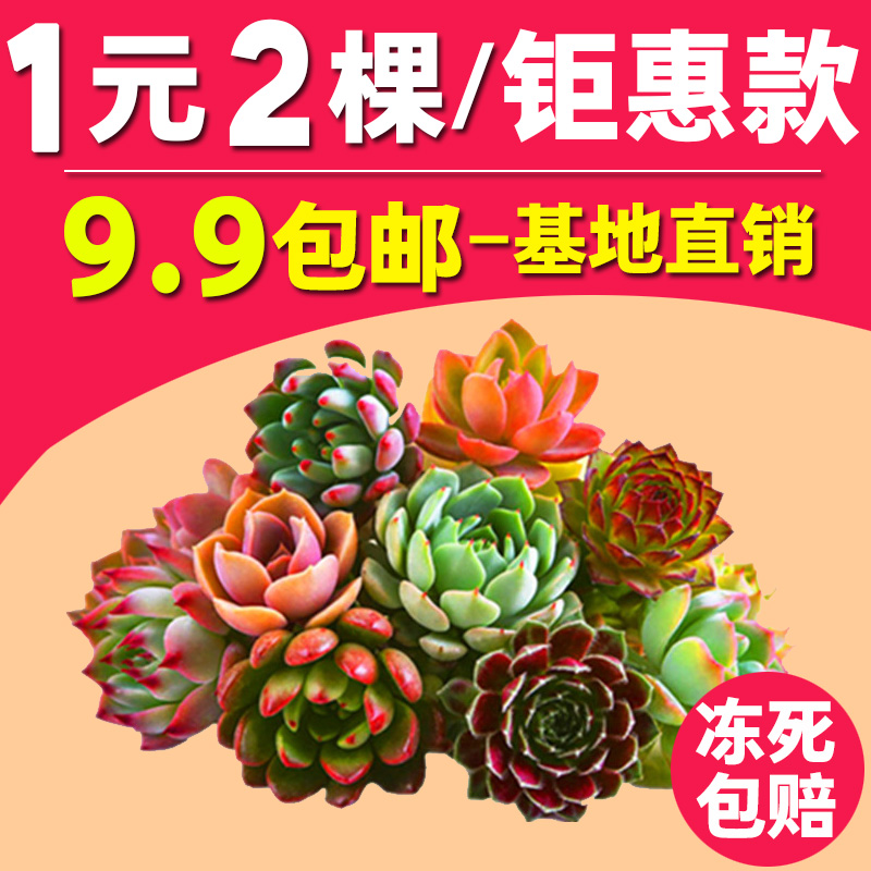 带你看骨科