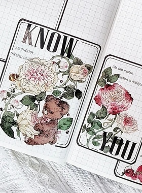花飞文创 英文字素文字 胶带 you know手帐素材 基础装饰pet 百搭
